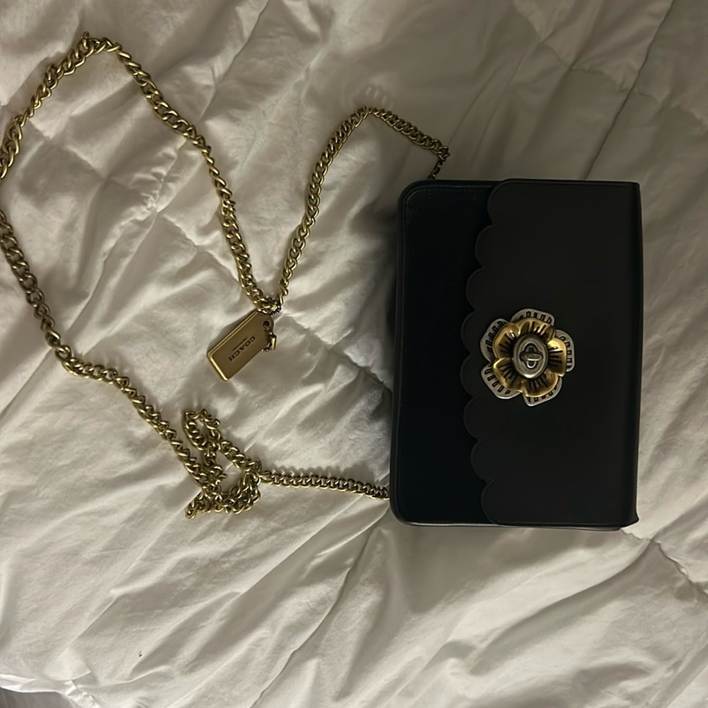 Coach leather/suede chain